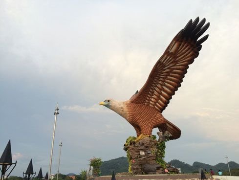 Make friends with the ‘king of the sky’ in Langkawi